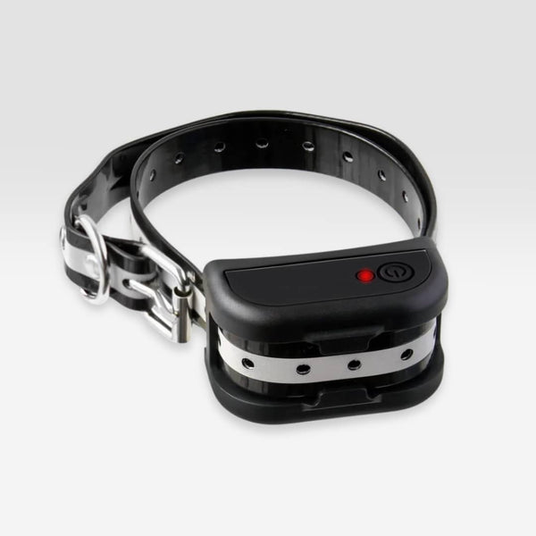 Collier récepteur additionnel pour anti-fugue sans-fil SafeZone™