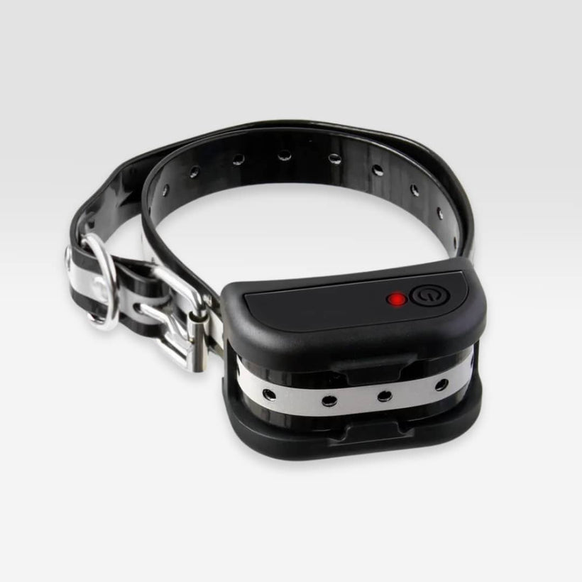 Collier récepteur additionnel SafeZone