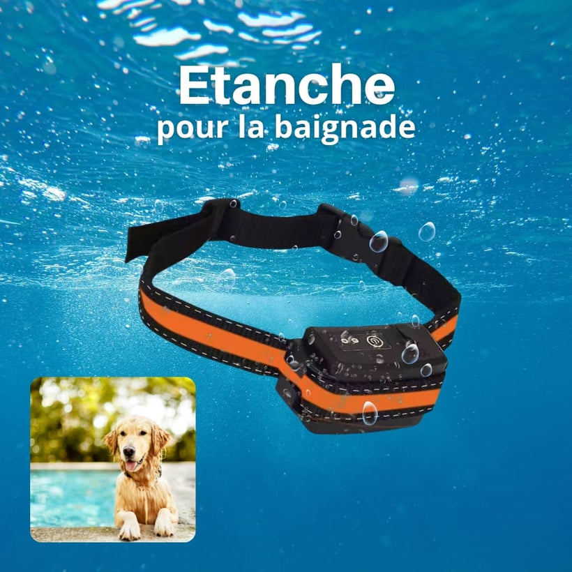 Collier récepteur additionnel pour clôture SafeSpace — vue 4
