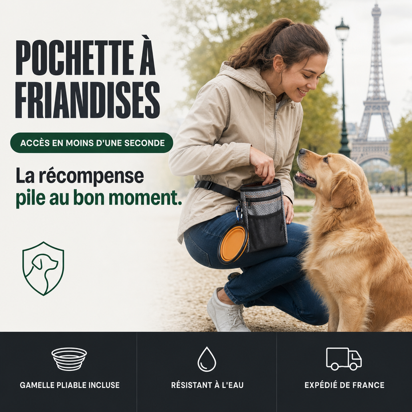 Pochette à friandises chien, récompense au bon moment PERROWALL : le bénéfice essentiel