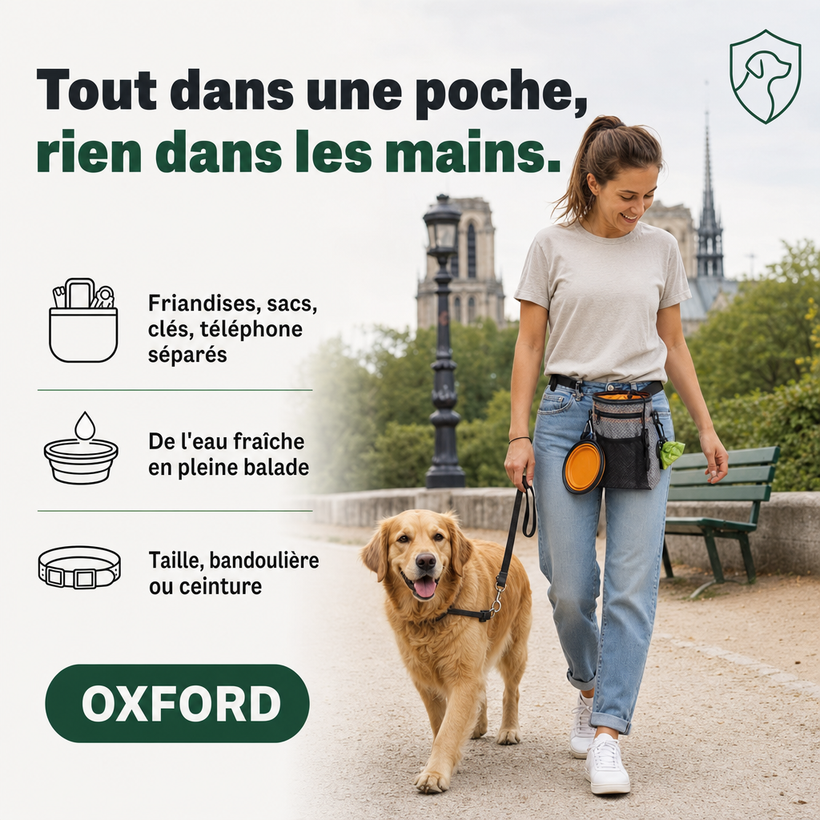 Pochette à friandises chien, récompense au bon moment PERROWALL : en situation réelle