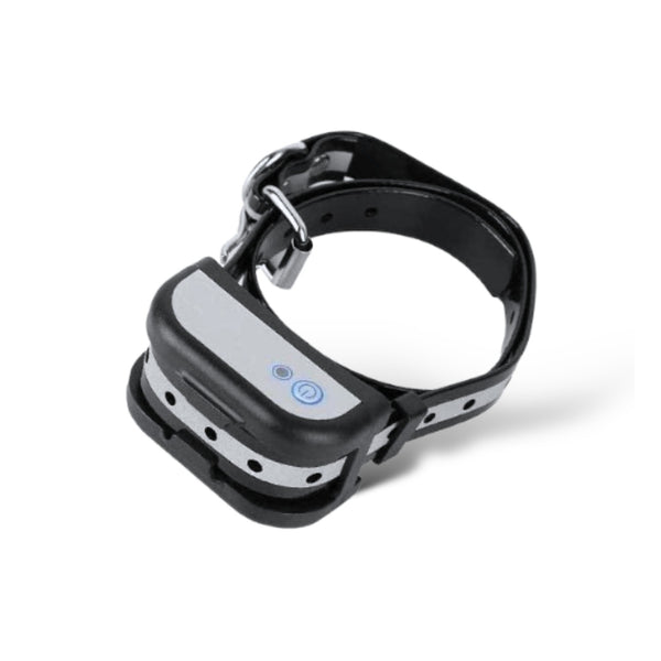 Collier récepteur additionnel pour anti-fugue avec fil SafeSpace (ancienne génération)