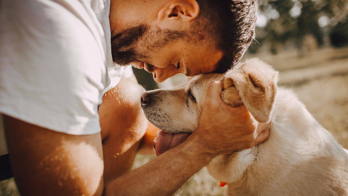 L'éducation positive : une approche efficace pour prévenir la fugue des chiens