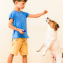 L'éducation positive : la clé pour prévenir la fugue chez les chiens