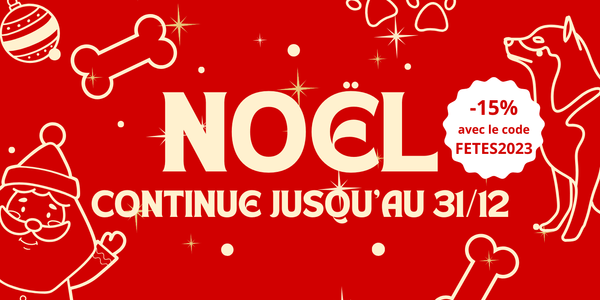 Noël Continue avec La Clôture Anti Fugue : Sécurité et Liberté pour Vos Animaux