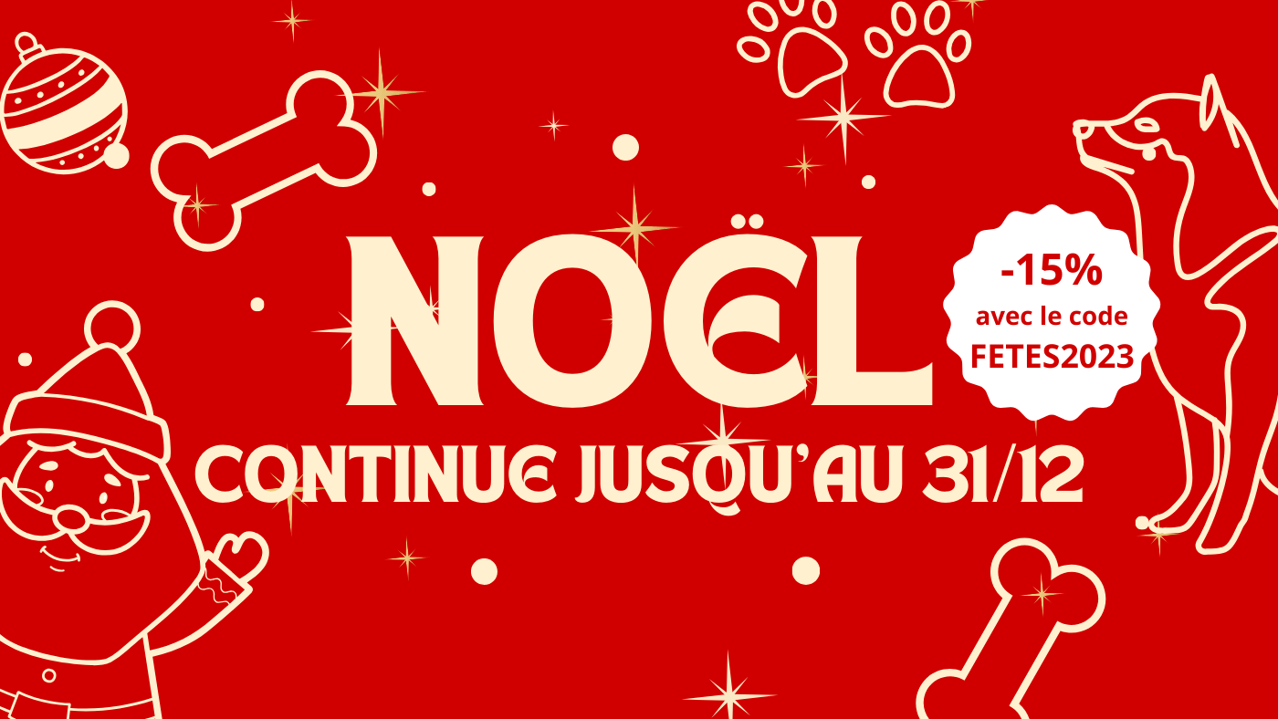 Noël Continue avec La Clôture Anti Fugue : Sécurité et Liberté pour Vos Animaux