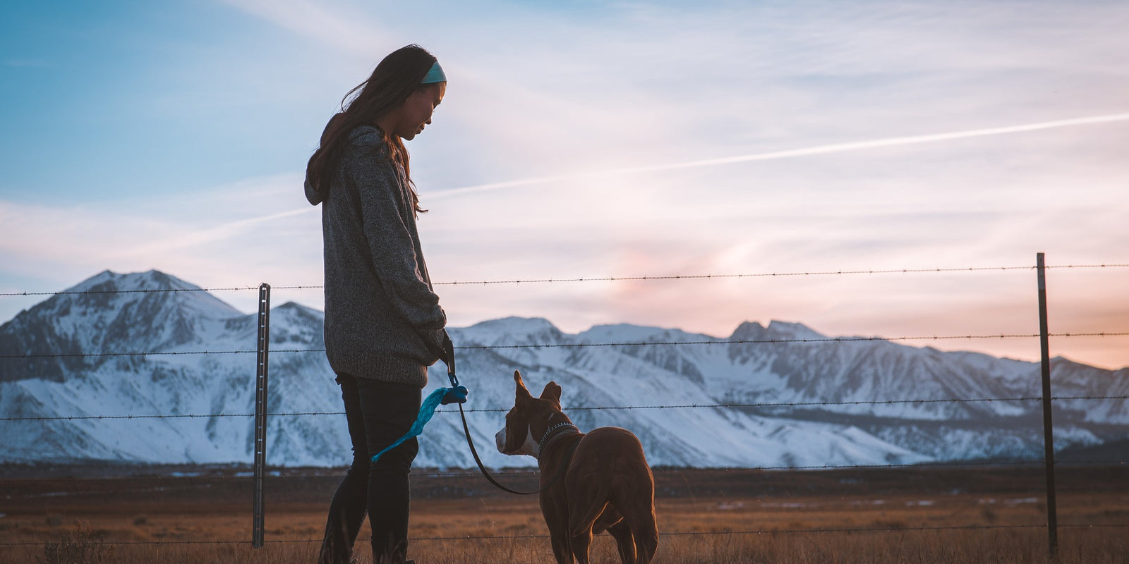 Pourquoi utiliser un collier anti-fugue ?