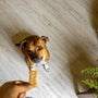 Récompensez votre chien avec des friandises saines