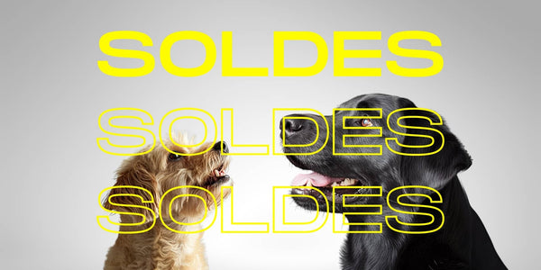 SOLDES D'HIVER, C'EST MAINTENANT OU JAMAIS !