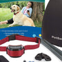 wireless dog fence in a garden