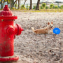 Petsafe Anti Fugue pour Grand Chien : Gardez Votre Compagnon en Sécurité