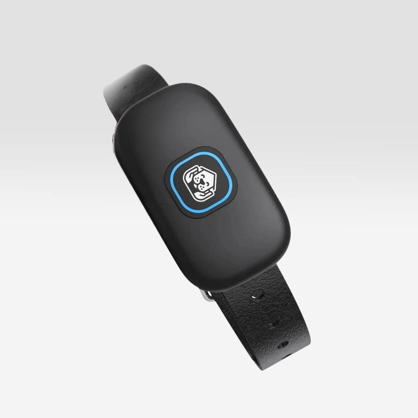 Collier récepteur additionnel Sense Pro 1 — vue 2