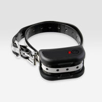 Collier récepteur additionnel SafeZone
