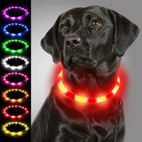 Collier lumineux LED rechargeable — vue 11