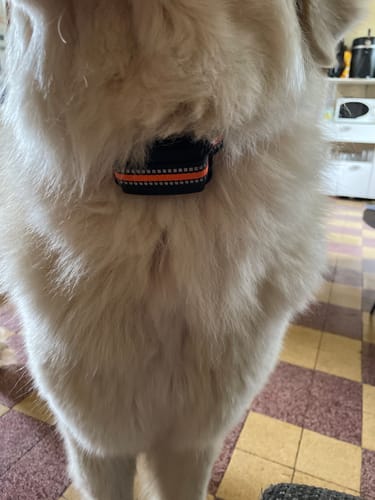Photo de l'avis de Cloe P.