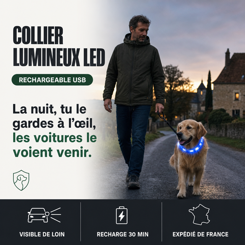 Collier lumineux LED rechargeable PERROWALL : le bénéfice essentiel