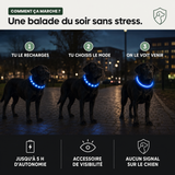 Collier lumineux LED rechargeable PERROWALL : comment ça marche