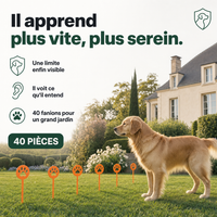 Fanions de délimitation 40 pièces, clôture anti-fugue PERROWALL : en situation réelle