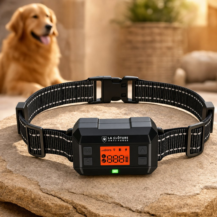 GeoGuard, clôture anti-fugue GPS sans fil ni abonnement