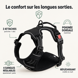 Harnais anti-traction chien, confort et contrôle PERROWALL : caractéristiques clés