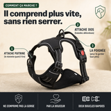 Harnais anti-traction chien, confort et contrôle PERROWALL : comment ça marche