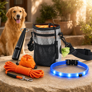 Kit d’accueil chien : 4 essentiels