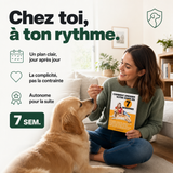 Dresser votre chien en 7 semaines (guide) PERROWALL : en situation réelle