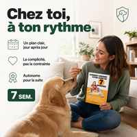 Dresser votre chien en 7 semaines (guide) PERROWALL : en situation réelle