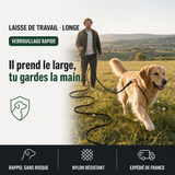 Laisse de travail longe chien, rappel en liberté PERROWALL : le bénéfice essentiel