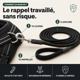Laisse de travail longe chien, rappel en liberté PERROWALL : comment ça marche