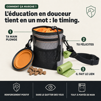 Pochette à friandises chien, récompense au bon moment PERROWALL : comment ça marche