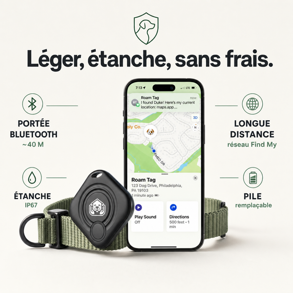 SafeTrack, traceur Apple Find My pour chien et chat PERROWALL : caractéristiques clés
