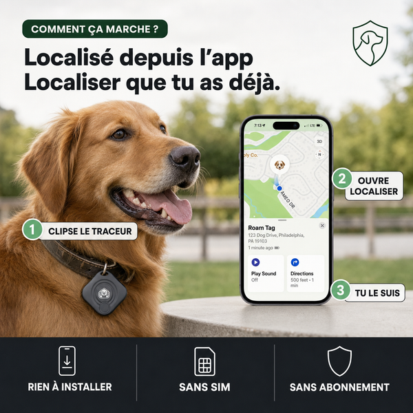 SafeTrack, traceur Apple Find My pour chien et chat PERROWALL : comment ça marche