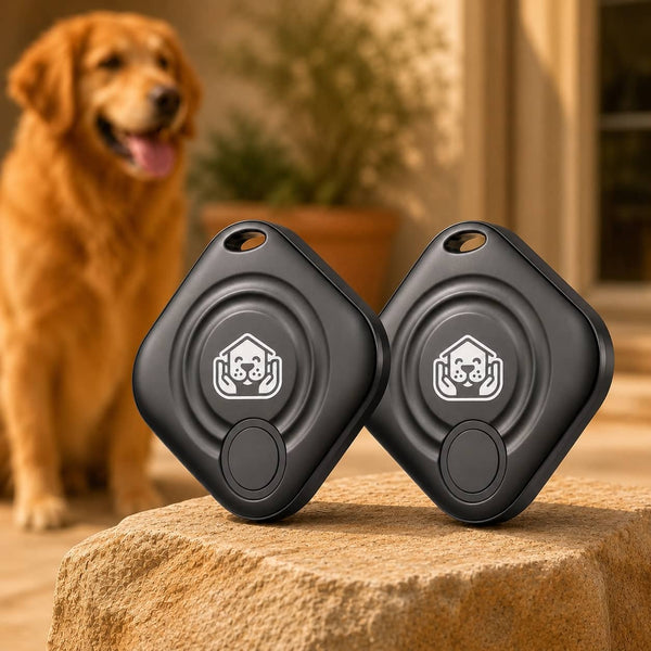 SafeTrack, traceur Apple Find My pour chien et chat — packshot