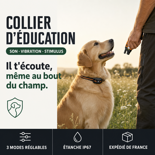 Collier de dressage SecureTouch longue portée