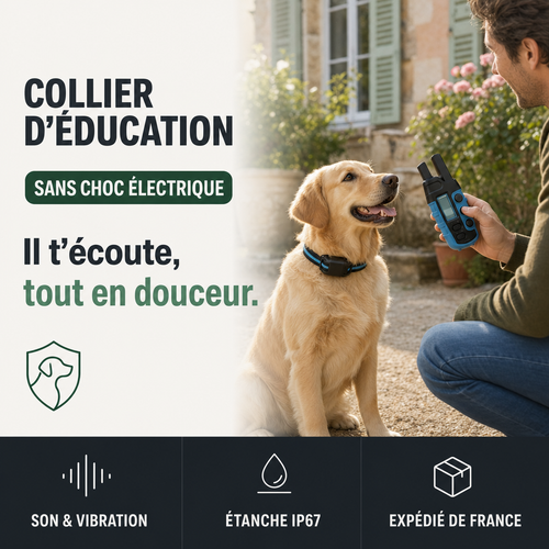 Collier d'éducation SecureTouch Pure sans choc électrique PERROWALL : le bénéfice essentiel