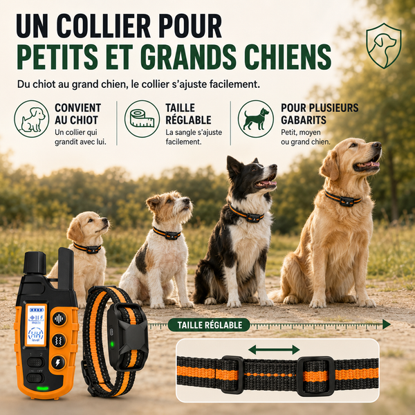Collier de dressage SecureTouch longue portée