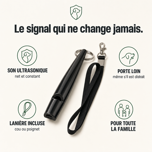 Sifflet de rappel ultrasons chien, signal clair PERROWALL : caractéristiques clés