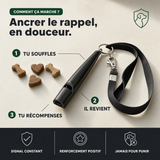 Sifflet de rappel ultrasons chien, signal clair PERROWALL : comment ça marche