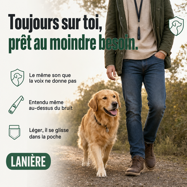 Sifflet de rappel ultrasons chien, signal clair PERROWALL : en situation réelle