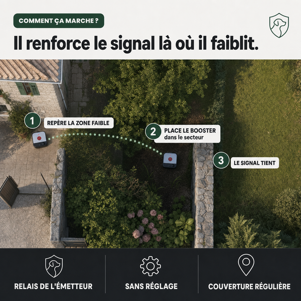 Signal booster pour clôture sans fil SafeZone PERROWALL : comment ça marche